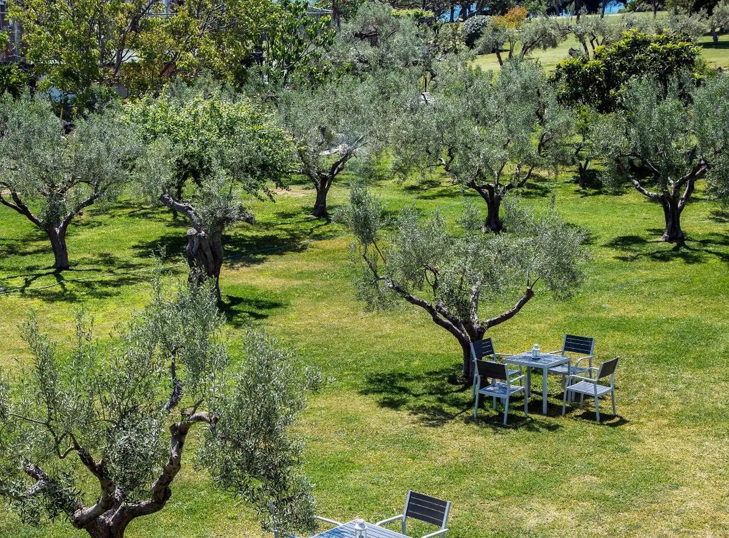 Διαμέρισμα Ellie'S Studios-Apartments Νικήτη